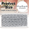19.5M Polyester Wave Lace Ribbon OCOR-WH0100-02B-2