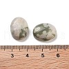Natural Peace Jade Cabochons G-G145-01B-55-3