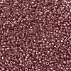 MIYUKI Delica Beads SEED-J020-DB0913-3