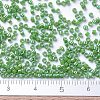 MIYUKI Delica Beads Small SEED-X0054-DBS0163-4