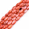 Natural Freshwater Shell Beads Strands SHEL-N026-212-B03-1