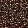 TOHO Round Seed Beads X-SEED-TR08-0421-2