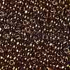 TOHO Round Seed Beads X-SEED-TR08-0421-2