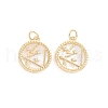 Brass Micro Pave Cubic Zirconia Pendants ZIRC-E164-36K-G-2