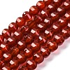 Dyed & Heated Natural Carnelian Beads Strands G-G177-I01-01-2