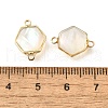 Brass Pave Natural White Shell Connector Charms KK-E794-01G-07-3