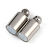 304 Stainless Steel Magnetic Clasps STAS-C127-07P-2