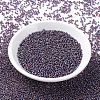 MIYUKI Round Rocailles Beads SEED-G007-RR1013-2