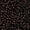 TOHO Round Seed Beads SEED-JPTR08-2205-2