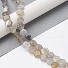 Natural Grey Agate Beads Strands G-K359-C11-01-2