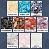  10 Styles Natural Mixed Gemstone Chip Beads G-NB0003-97-5