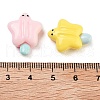 Opaque Resin Imitation Food Decoden Cabochons RESI-H165-10-3