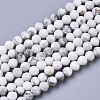 Natural Howlite Beads Strands G-R460-026-1