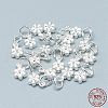 925 Sterling Silver Charms STER-T002-104S-3