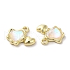 Alloy Pendant PALLOY-K001-070G-2