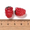Handmade Lampwork Beads Strands LAMP-G162-05E-4