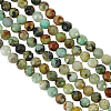 Olycraft 2 Strands Natural African Turquoise(Jasper) Beads Strands G-OC0004-40-1