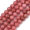 Natural Thulite Beads Strands G-Z044-A02-01-2