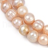 Natural Cultured Freshwater Pearl Beads Strands PEAR-I007-07Z-01B-4