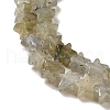 Natural Labradorite Beads Strands G-G085-B25-02-3