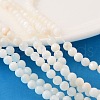 Natural Shell Beads Strands X-PRS001Y-1