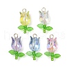 Acrylic Pendants PALLOY-JF03535-01-1