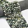 Natural Tree Agate Beads Strands G-P573-A17-01-1