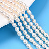 Natural Cultured Freshwater Pearl Beads Strands PEAR-N012-04Y-01-1