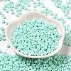 Baking Paint Glass Seed Beads X1-SEED-B001-02A-14-2