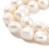 Natural Cultured Freshwater Pearl Beads Strands PEAR-P062-30A-4