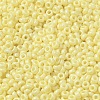 Baking Paint Glass Seed Beads SEED-P006-03A-15-3