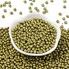 6/0 Glass Seed Beads SEED-L011-08A-18-2