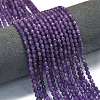 Natural Lepidolite/Purple Mica Stone Beads Strands G-A260-A04-01-1