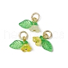 36Pcs Frosted Acrylic Flower & Leaf Charms PALLOY-JF03552-3