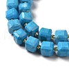 Natural Howlite Beads Strands G-C025-01B-4
