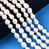 Natural Baroque Pearl Keshi Pearl Beads Strands X1-PEAR-S020-F04-01-2