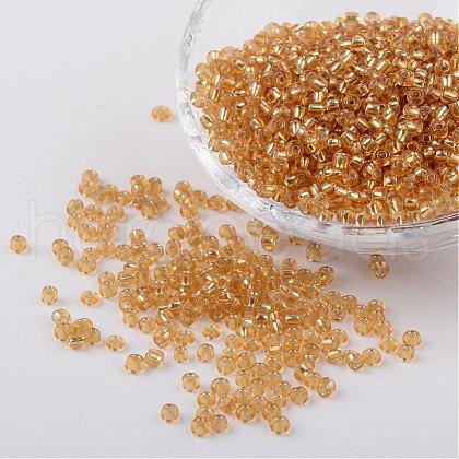 8/0 Glass Seed Beads X-SEED-A005-3mm-22-1