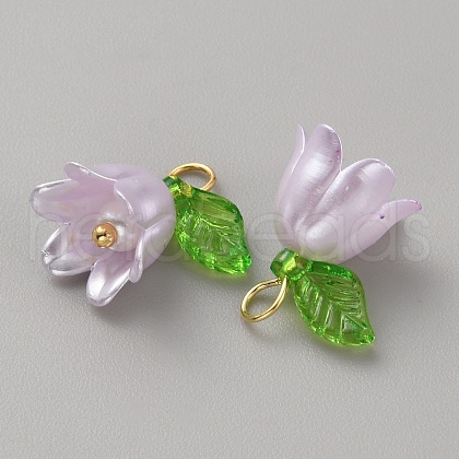 Acrylic Charms KY-TAC0009-03E-1