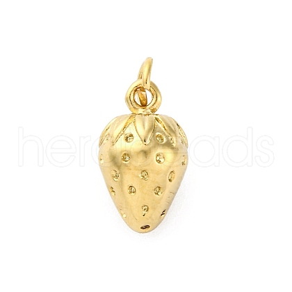 304 Stainless Steel Charms STAS-U049-01A-02G-1