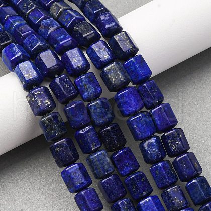 Dyed Natural Lapis Lazuli Beads Strands G-R015-A05-1