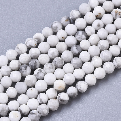 Natural Howlite Beads Strands G-R460-026-1