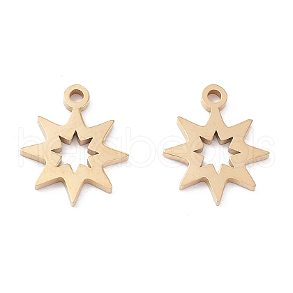 Ion Plating(IP) 316 Surgical Stainless Steel Charms STAS-H163-04G-1