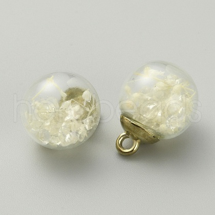 Transparent Glass Globe Pendants GLAA-TAC0005-003C-1
