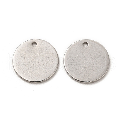 Non-Tarnish 304 Stainless Steel Charms STAS-L207-24C-P-1