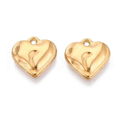 304 Stainless Steel Charms STAS-T065-24B-G-1