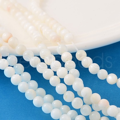 Natural Shell Beads Strands X-PRS001Y-1