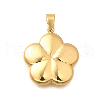 304 Stainless Steel Pendants BJEW-H200-10G-02-1