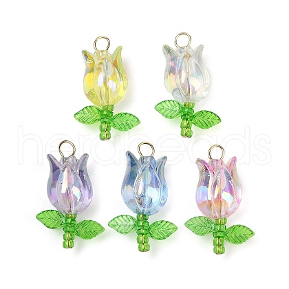 Acrylic Pendants PALLOY-JF03535-01-1