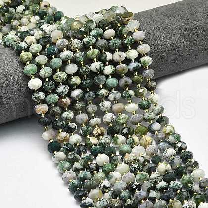 Natural Tree Agate Beads Strands G-P573-A17-01-1