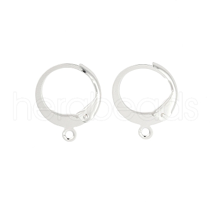 Ion Plating(IP) 304 Stainless Steel Leverback Earring Findings STAS-F075-38S-1